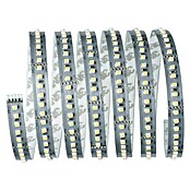 Paulmann MaxLED 1.000 LED-Band 1000 (2,5 m, Warmweiß) | BAUHAUS