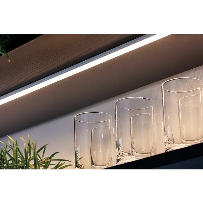 Paulmann Profil Diffusor - Länge: 100 cm, Aluminium - Regal mit beleuchteten Gläsern und grünen Pflanzen. Die Beleuchtung betont das klare Design der Gläser.