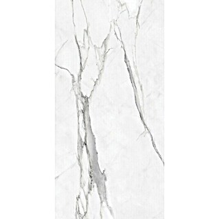 Azteca Feinsteinzeugfliese Da Vinci (60 x 120 cm, Weiß/Grau, Glänzend)