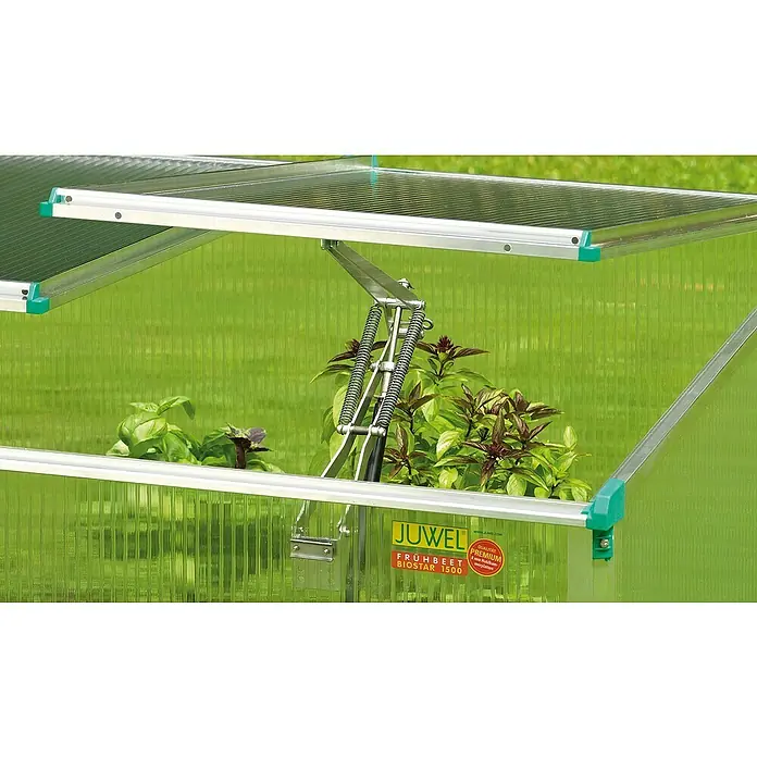 Juwel Fensteröffner - Passend für: Juwel Frühbeete - Nahaufnahme eines Juwel Frühbeet Biostar 1500 mit geöffnetem Fenster und Pflanzen im Inneren.