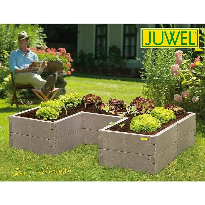 Juwel Hochbeet Timber Ergoline - 125 x 185 x 40 cm, Kunststoff, Nordic wood - Das JUWEL Hochbeet mit verschiedenen Salatpflanzen im Garten, im Hintergrund ein entspannter Mann.
