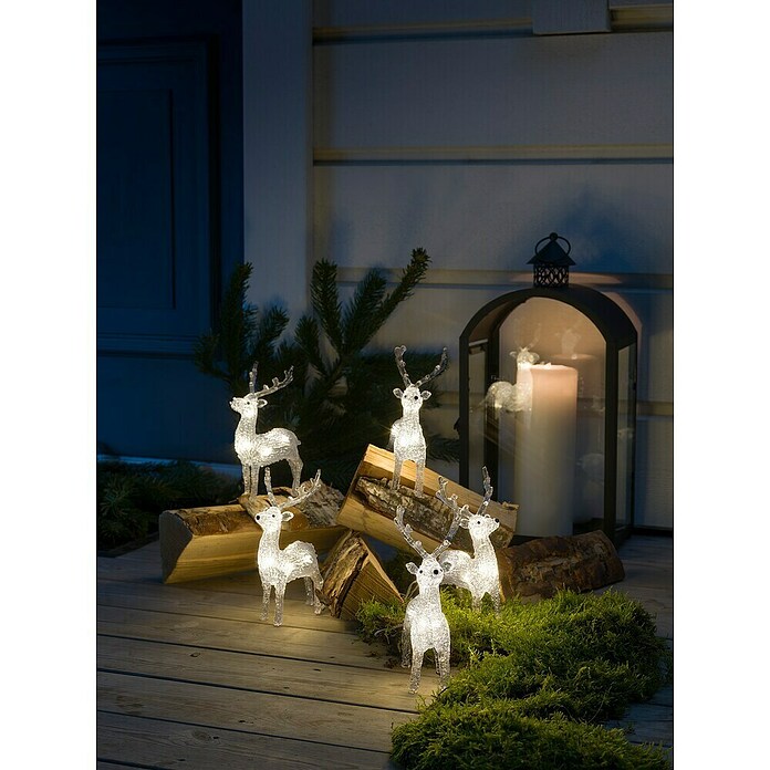 Konstsmide LED Ensemble d'éclairage décoratif avec rennes
