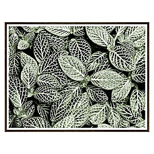 Cuadro de lámina Planta (Plant, An x Al: 40 x 30 cm)
