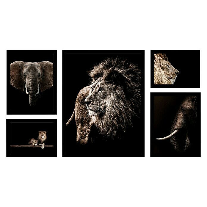 Cuadro enmarcado set animales (Lion and elephant, 77 x 44 cm)