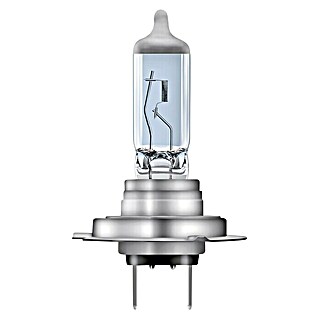 Osram Hauptscheinwerfer-Lampen White Star (H7, 2 Stk.)