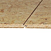 OSB-plaatmateriaal (590 x 2.440 x 18 mm)