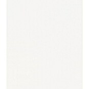 Kuhinjska plošča po meri  (Bela, Maksimalna dolžina rezanja: 372 cm, Debelina: 3,8 cm) | 5380 - Arbeitsplatten CPL | GDDF - Arbeitsplatten | GDD - Zuschnitt/KST/Umleimer | GD - Zuschnitt | G - Holz/Bauelem | BAUHAUS