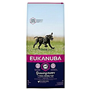 Eukanuba Droogvoer voor honden Growing Puppy Large Breed Kip (0 jaar - 1 jaar, 12 kg)
