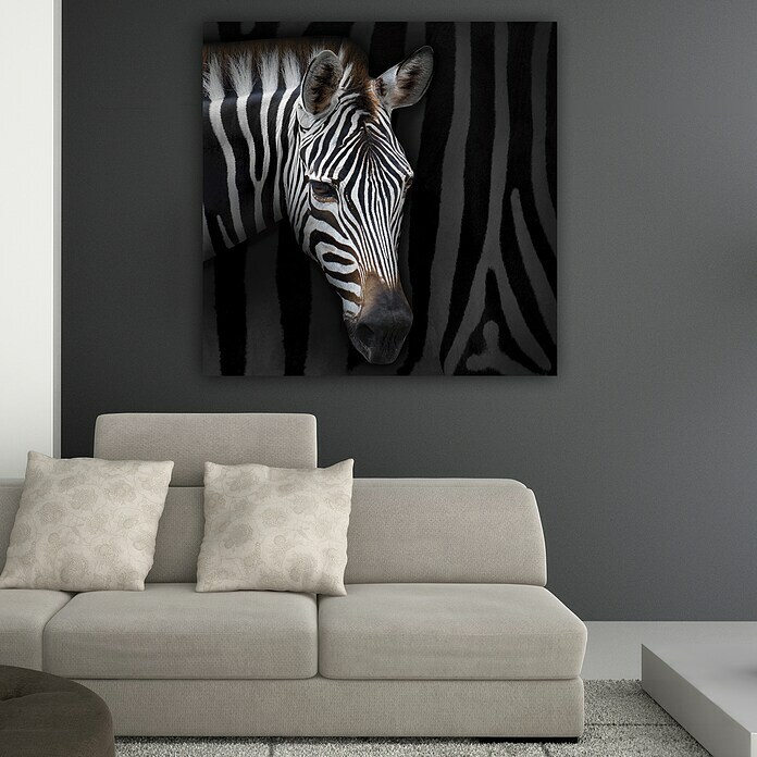 Impresión artística Cebra (zebra, 80 x 80 cm)