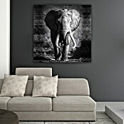 Impresión artística Elefante (Elephant, 100 x 140 cm)
