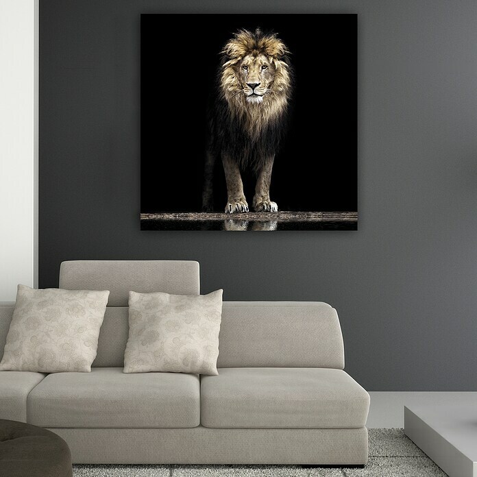 Impresión artística León (Lion, 100 x 100 cm)
