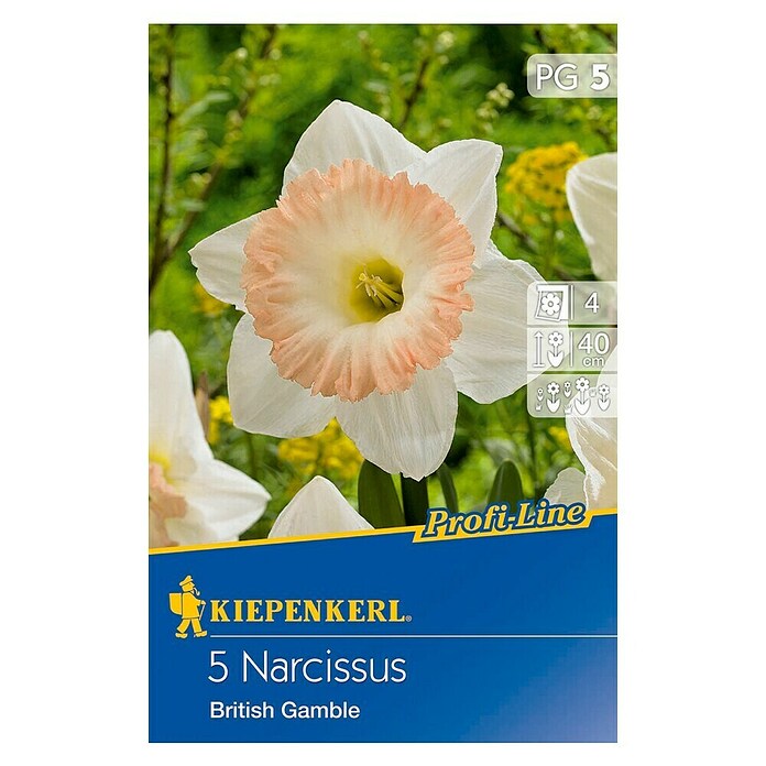 Kiepenkerl Bulbes de fleurs printanières Narcisse 'British Gamble'