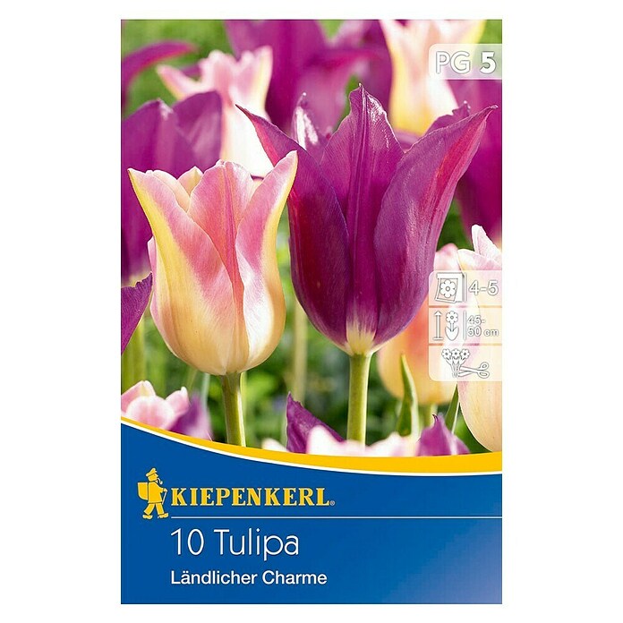 Kiepenkerl Bulbi di fiori primaverili mix di tulipani fascino rurale