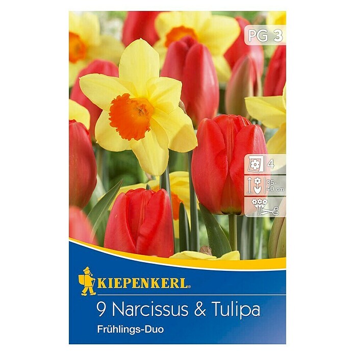 KIEPENKERL Tulpe und Narzissen Mix 'Frühlingsduo'