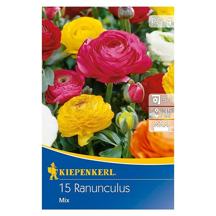 KIEPENKERL Ranunculus Mix