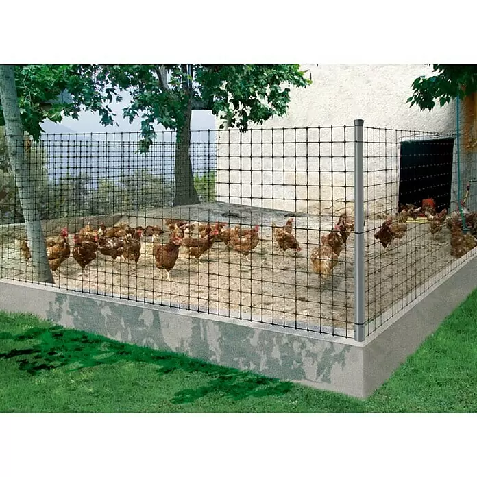 Nortene Gitterzaun - B x H: 10 x 1 m, Grau - Stimmungsaufnahme