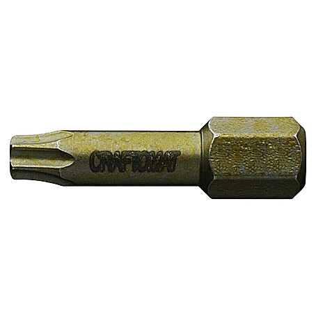 Craftomat Bit Wood (TX 15, 25 mm, 2 -tlg.)