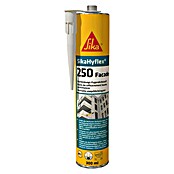Sika Tesnilno sredstvo  (300 ml, Beton siva) | 5617 - Sonstige Dicht- und Klebstoffe | FADH - Dicht- und Klebstoffe | FAD - Baustoffe | FA - Baustoffe | F - Baustoffe | BAUHAUS