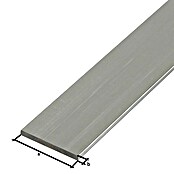 Profilé Aluminium Plat Anodisé Argenté - 2000 X 60 X 3 Mm - Barre Plate Pour Bricolage