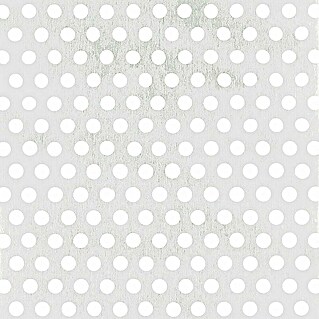 Alberts Rundlochblech (500 x 250 mm, Stärke: 0,8 mm, Aluminium)