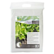 BR Garden Prezimitvena koprena  (Do x Š: 2,4 x 10 m, 40 g/m²) | 7482 - Frühanzucht | IAGG - Gartenartikel | IAG - Außenbereichsausstattung | IA - Gartenhartware | I - Stadtgarten | BAUHAUS