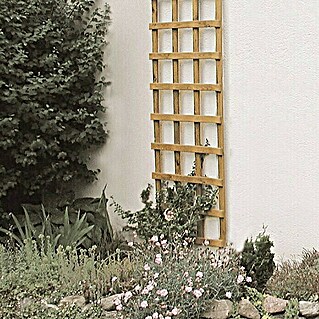 Rešetkasta ograda za biljke penjačice (Š x V: 60 x 180 cm)