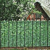 Windhager Zaštita od pogleda od trske (Zelena, D x V: 3 x 1 m, Plastika)
