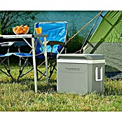 Campingaz Nevera de camping Powerbox® Plus (40,7 x 43,5 x 31,3 cm)