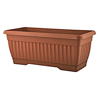 Korito za rastline (Do x Š x V: 20 x 60 x 17 cm, Plastika)