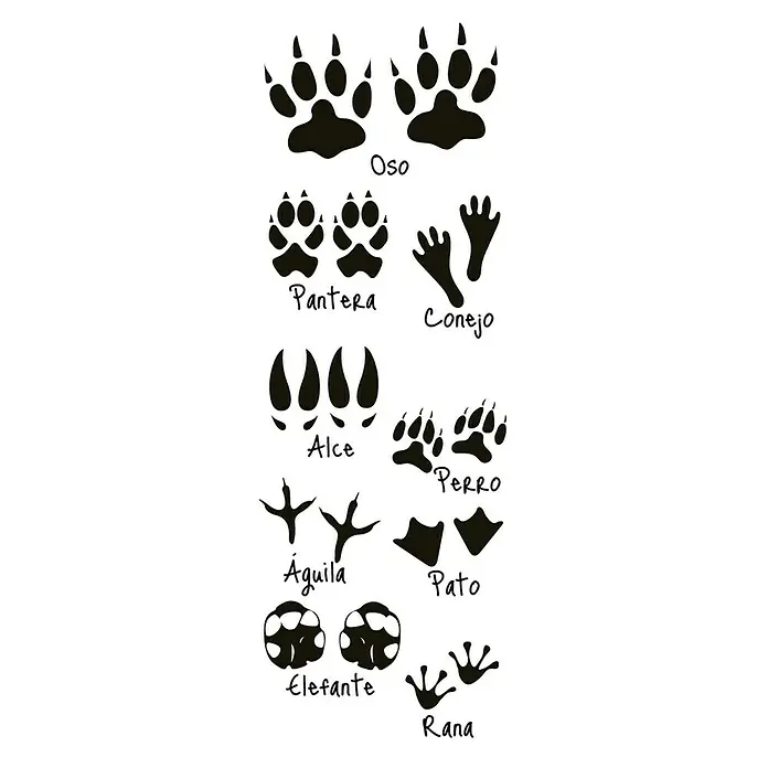 Vinilo de pared Huellas - Plástico - Huellas de animales como oso, pantera, conejo, alce, perro, águila, pato, elefante y rana representadas en siluetas negras sobre fondo blanco.