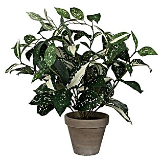 Umjetna biljka Cordyline u tegli (Visina: 35 cm, Zelene boje, Plastika)