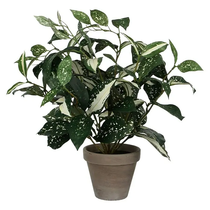 Planta artificial Cordyline - Altura: 35 cm, Verde, Plástico - Planta decorativa de dracaena polvo de oro en una maceta. Ideal para una decoración de habitación elegante que aporta frescura y elegancia a cualquier espacio.