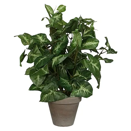 Planta artificial Fittonia