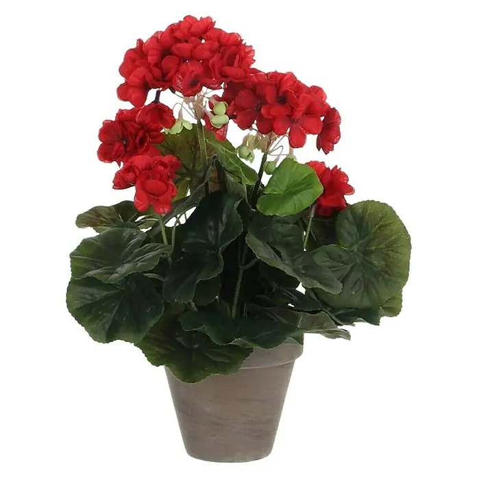 Planta artificial Geranio - Altura: 34 cm, Rojo, Plástico - Geranios rojos exuberantes en una maceta. La planta artificial es un atractivo decorativo y añade un toque fresco a cualquier habitación.