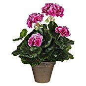 Umjetna biljka Pelargonija  (Visina: 34 cm, Boja cvijeta: Tamno roza, Plastika) | BAUHAUS