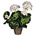 Umjetni cvijet Pelargonija 