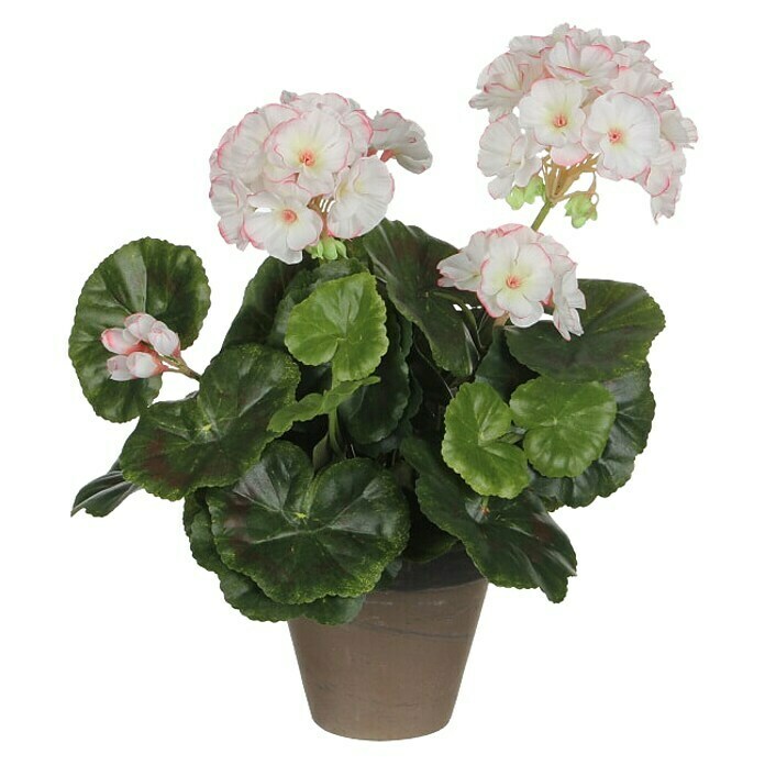 Umjetni cvijet Pelargonija  (Visina: 34 cm, Boja cvijeta: Bijela) | BAUHAUS