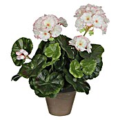 Umjetni cvijet Pelargonija  (Visina: 34 cm, Boja cvijeta: Bijela) | BAUHAUS