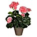 Umjetni cvijet Pelargonija 