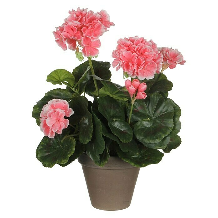 Umjetni cvijet Pelargonija  (Visina: 33 cm, Boja cvijeta: Svijetlo roza) | BAUHAUS