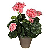 Umjetni cvijet Pelargonija  (Visina: 33 cm, Boja cvijeta: Svijetlo roza) | BAUHAUS