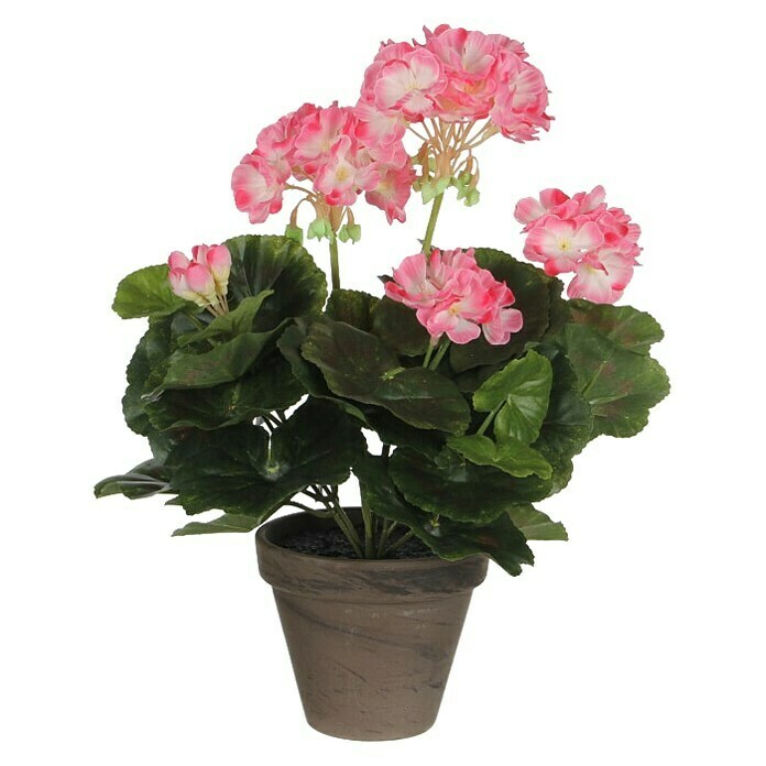 Umjetni cvijet Pelargonija  (Visina: 34 cm, Boja cvijeta: Roza) | BAUHAUS