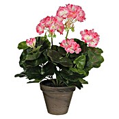 Umjetni cvijet Pelargonija  (Visina: 34 cm, Boja cvijeta: Roza) | BAUHAUS