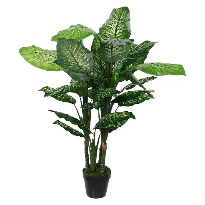 Kunstpflanze Dieffenbachia - Ø x H: 60 x 120 cm, Grün, Kunststoff - Zimmerpflanze im Topf. Die Pflanze hat dunkelgrüne Blätter mit hellen Akzenten und steht in einem schwarzen Topf.