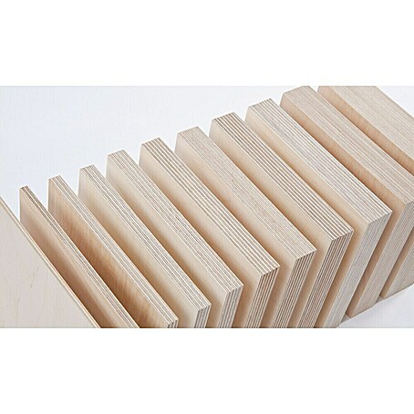 Sperrholzplatte Fixmaß Birke (Birke, 2 500 x 1 250 x 15 mm)