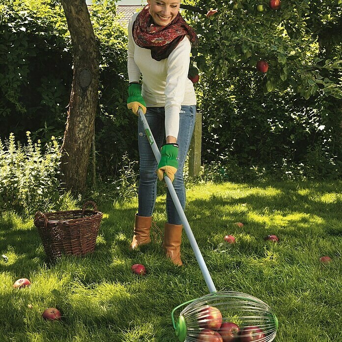 Freund Victoria Pobiralnik sadja  (Delovna širina: 30 cm) | 7240 - Geräte mit Stiel | IADA - Gartenhandgeräte | IAD - Gartenhandgeräte | IA - Gartenhartware | I - Stadtgarten | BAUHAUS