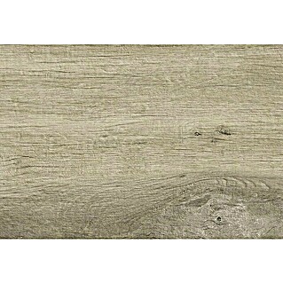 Porculanska pločica Woodmania Ash (20 x 120 cm, Smeđe boje, Mat)