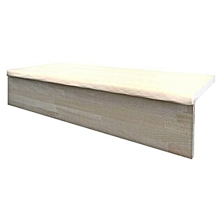 Robna letev za stopnico (Do x Š x V: 1.100 x 160 x 18 mm, Bukev)