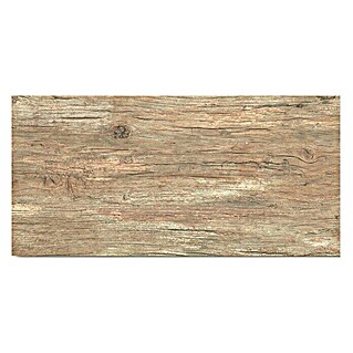 Momastela Keramische tegel Radice (31 x 62 cm, Beige, Mat)