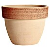 UEBERTOPF VASO PALLADIO GRAFFIATO 16 CM /M